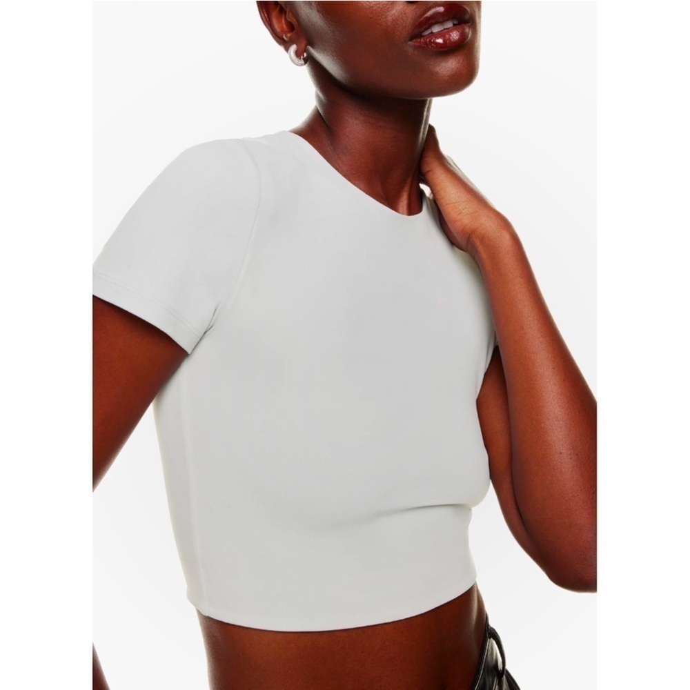 Babaton | Contour Crew Cropped T-Shirt Light Grey Size Medium Aritzia